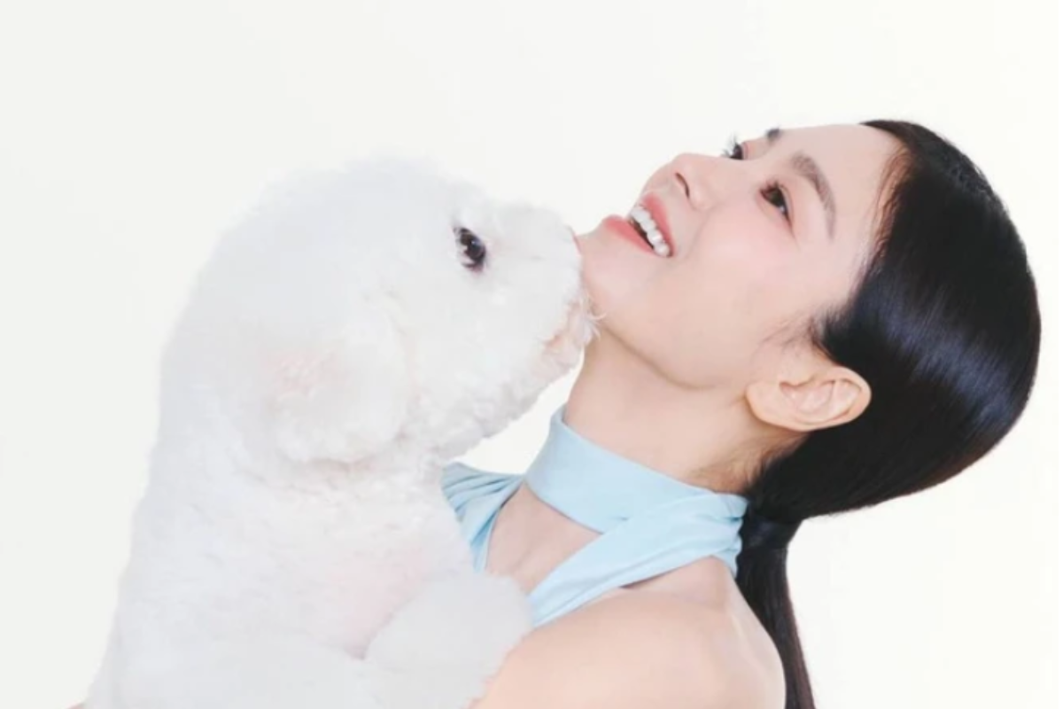 Song Hye Kyo luce como una diosa en una nueva sesión de fotos con su mascota post-Song Joong Ki