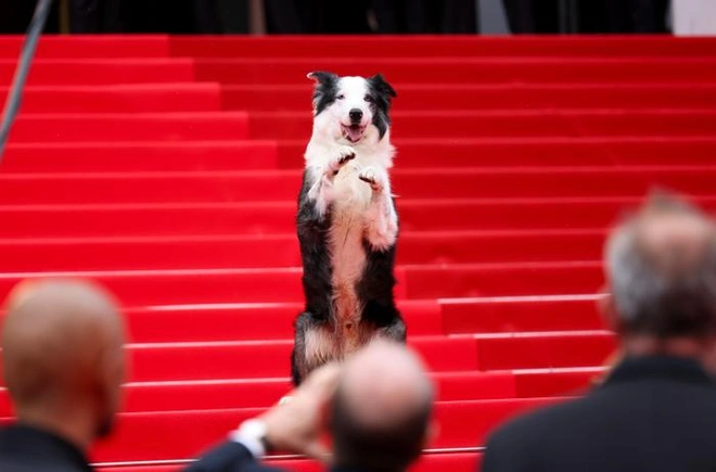 messi-lhp cannes